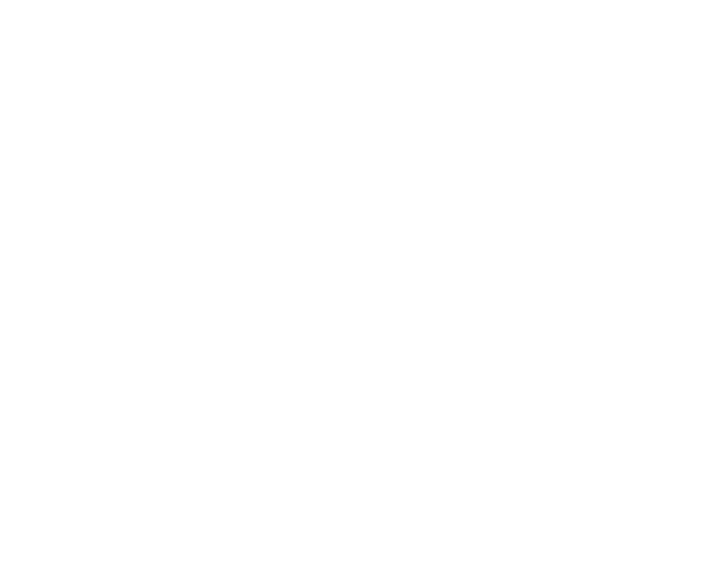 Mission Controlling Logo